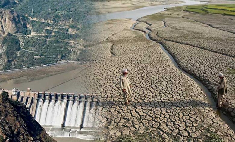 सिंधु नदी के पानी में कटौती से पाकिस्तान में फसलों की बुआई प्रभावित, सिंध-पंजाब में हाहाकार 1 17A 96