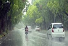 barish8 14