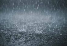barish1 8