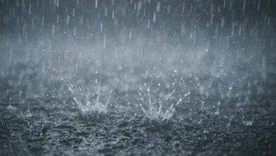 barish1 8