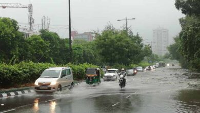 RAIN HAVE1