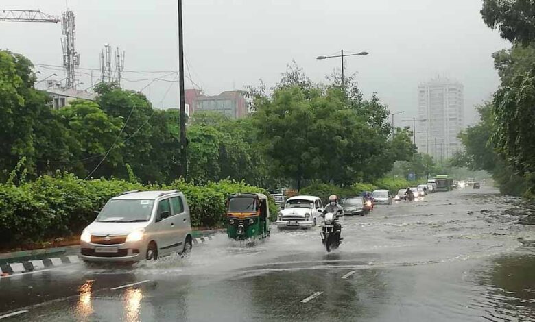 RAIN HAVE1