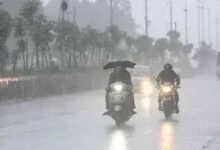 barish 7
