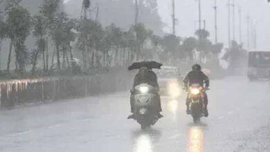 barish 7
