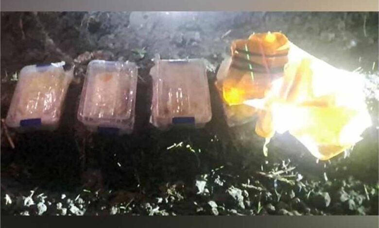 पंजाब पुलिस और BSF ने संयुक्त बड़ी कार्रवाई करते हुए भारी मात्रा में ICE बरामद की 1 bsf 1