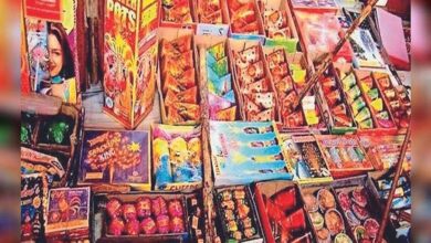 पटाखों पर बैन! सरकार ने जारी किए कड़े आदेश, खरीद-बिक्री होगी पूरी तरह प्रतिबंधित 2 crekar1