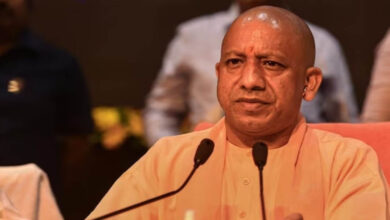 yogi 100 3