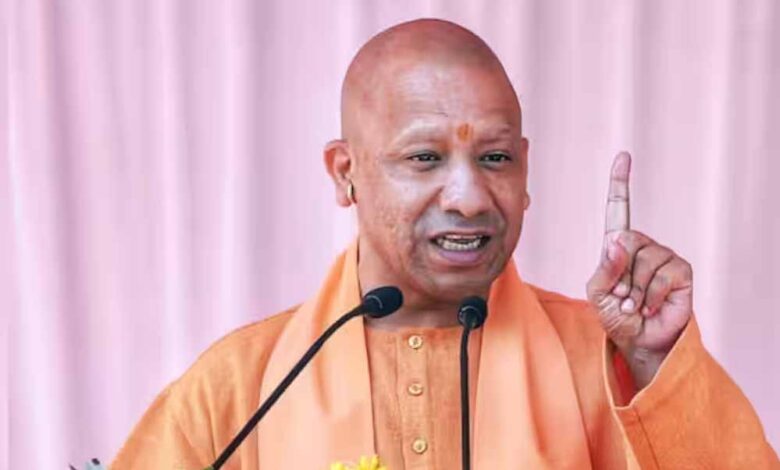 yogi cm 132 1 2