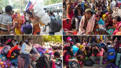 हाकिमपुर बॉर्डर पर हड़कंप: अवैध बांग्लादेशियों का चौंकाने वाला कबूलनामा—‘बंगाल में चार बार दिया वोट’ 1 1 998