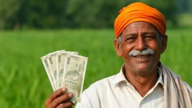19 नवंबर को PM मोदी 10 करोड़ किसानों के खातों में ट्रांसफर करेंगे किसान सम्मान निधि की 21वीं किश्त 1 17A 103