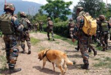 army indin 32 5 1