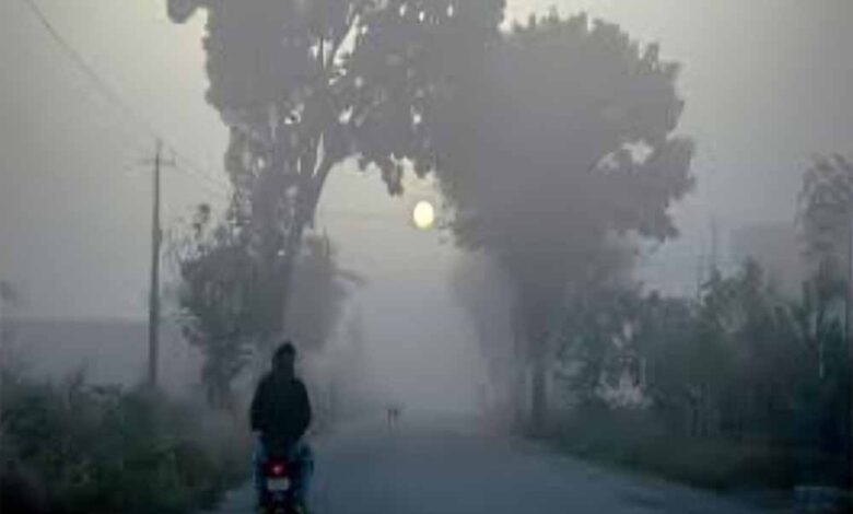 उत्तर भारत में ठंड का कहर शुरू! कोहरे की चादर से ढका उत्तर भारत, IMD ने जारी किया अलर्ट 1 winter3 2