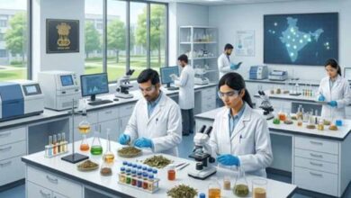 1 1017