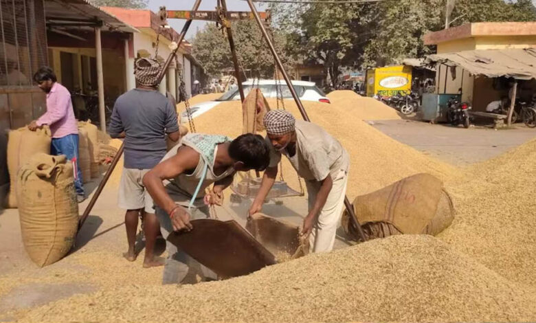 धान खरीद में नया रिकॉर्ड: 4 लाख से अधिक किसानों से खरीदा गया 25 लाख मीट्रिक टन धान 1 19A 6