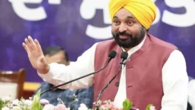 पंजाब के इन तीन शहरों में ‘पवित्र शहर’ का दर्जा, मीट-शराब-तंबाकू पर पूरी तरह बैन 2 maan 11