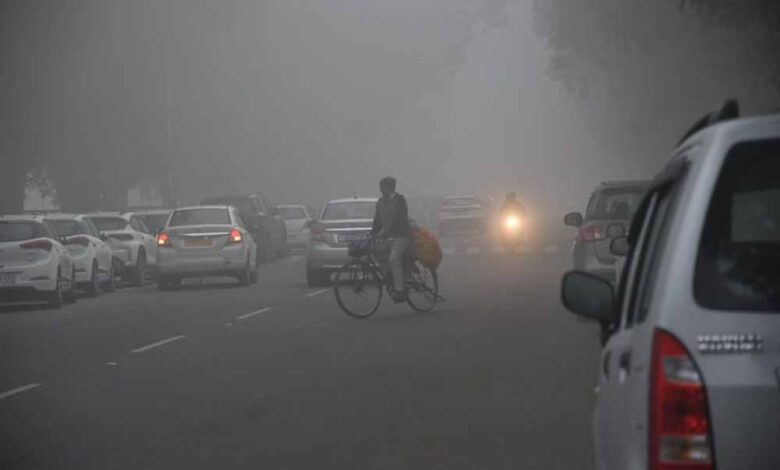 उत्तर भारत में घने कोहरे की मार: हरियाणा-पंजाब-चंडीगढ़ में सड़क हादसे, ट्रेनें लेट, नए साल से पहले बढ़ी ठंड 1 punjab kohra