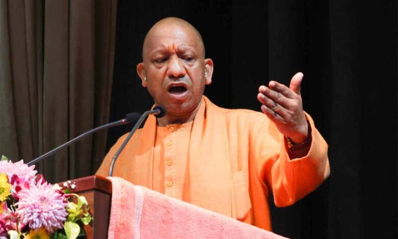 yogi1 17