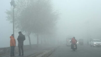 दिल्ली में पारा 2.9°C, अगले 3 दिन सर्दी का कहर जारी, IMD का अलर्ट 4 12A 25