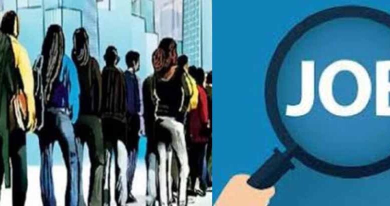 रायपुर में तीन दिन चलेगा राज्य स्तरीय रोजगार मेला, सरकार के 'हाथ में रोजगार' के फैसले से युवा खुश 1 Chhattisgarh News 01 2 17