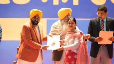 सीएम भगवंत मान ने 916 युवाओं को बांटे नियुक्ति पत्र, 63,943 लोगों को बिना सिफारिश मिली सरकारी नौकरी 8 Punjab News 01 1 21