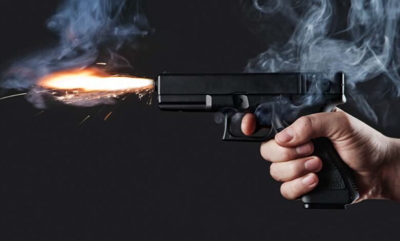 gun 42 3