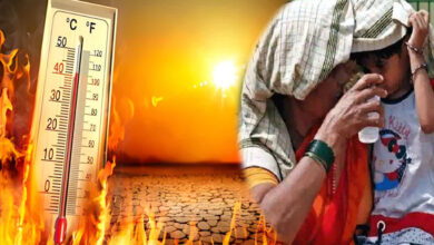 ऑक्सफोर्ड की चेतावनी: भारत में इतनी भीषण गर्मी कि उबल सकती है धरती 7 summer A 44 2