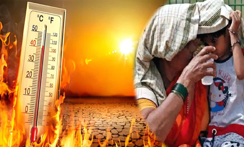 ऑक्सफोर्ड की चेतावनी: भारत में इतनी भीषण गर्मी कि उबल सकती है धरती 1 summer A 44 2