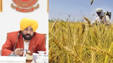 पंजाब सरकार का ऐतिहासिक फैसला, सीमावर्ती किसानों को सरकारी जमीन पर मुआवजे का मिलेगा हक 3 Punjab News 01 1 17