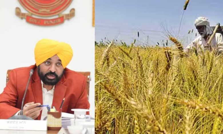 Punjab News 01 1 17
