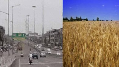 फरवरी में मार्च-अप्रैल जैसी गर्मी का एहसास, पश्चिमी विक्षोभ से बारिश की उम्मीद 5 Punjab News 04 1 11