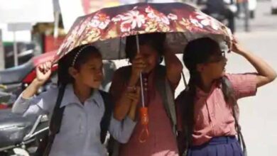 मार्च के पहले हफ्ते में गर्मी और उमस का अलर्ट, गुजरात से महाराष्ट्र तक बढ़ेगा पारा 4 Summer 88 2