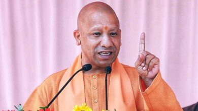 Yogi 01 3