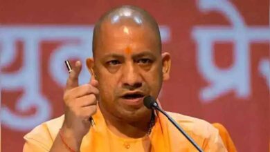 cm yogi3