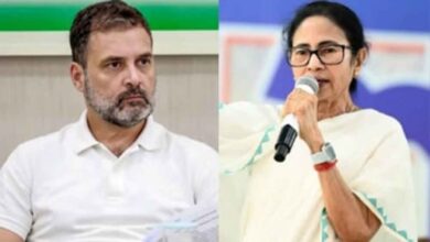 mamta 2