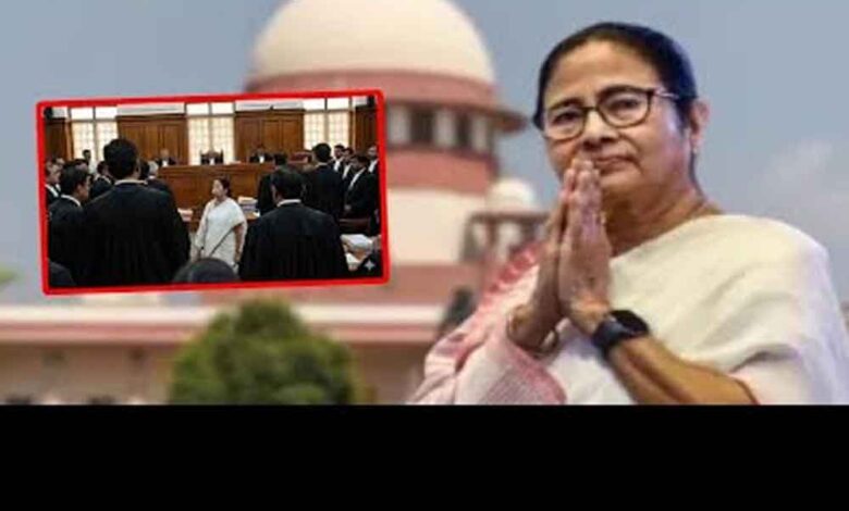 mamta 3