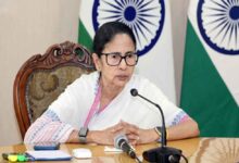 mamta 5