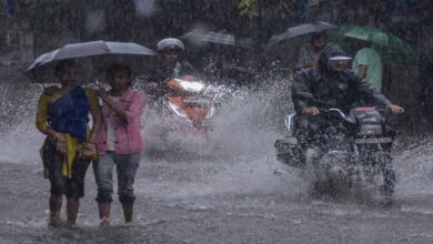 एमपी में बदलते मौसम से किसानों की बढ़ी चिंताएं, फरवरी में चौथी बार ओले और बारिश 6 rain A 52 4