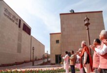 seva treeth