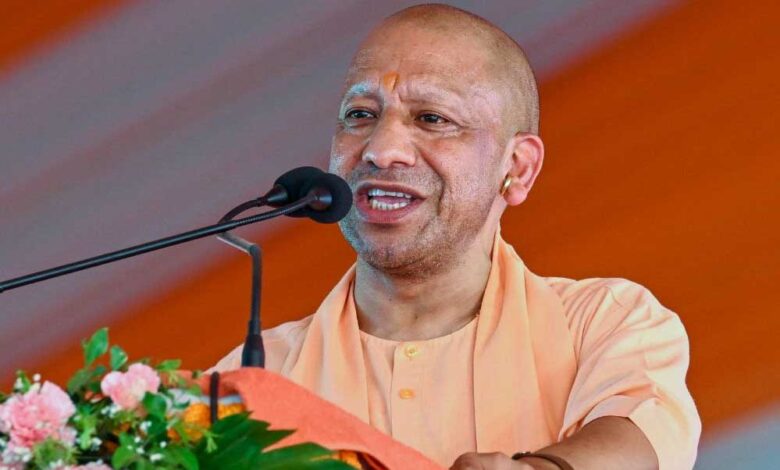 yogi 89 3 1