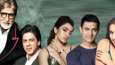 अमिताभ बच्चन ने क्यों नहीं देखा फाइनल? शाहरुख, रश्मिका समेत सेलेब्स ने ऐसे मनाई जीत 3 1 229