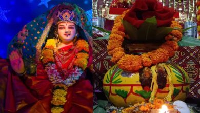 नवरात्रि से पहले घर से हटाएं ये 7 गलतियां, तभी होगी मां दुर्गा की विशेष कृपा 6 1 320