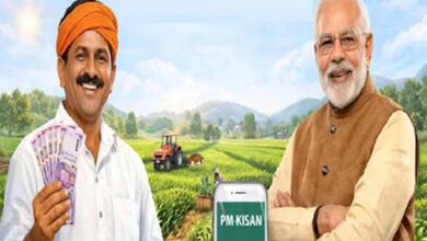 PM किसान सम्मान निधि की 22वीं किस्त आज!, बिहार के 73 लाख किसानों को मिलेंगे ₹2000, ऐसे करें स्टेटस चेक 3 1 349