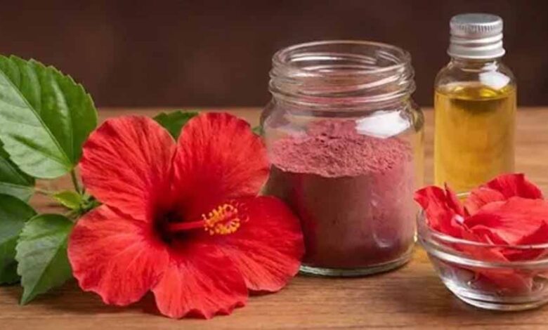 खूबसूरत त्वचा और घने बालों का प्राकृतिक मंत्र: गुड़हल के चमत्कारी फायदे 1 1 588