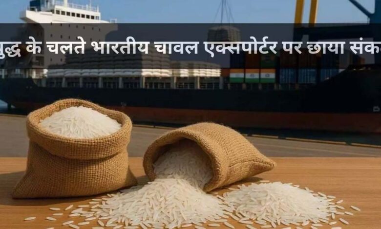 MP से बासमती का निर्यात ठप, समुद्र में फंसा चावल, किसानों और व्यापारियों की बढ़ी चिंता 1 19A 91