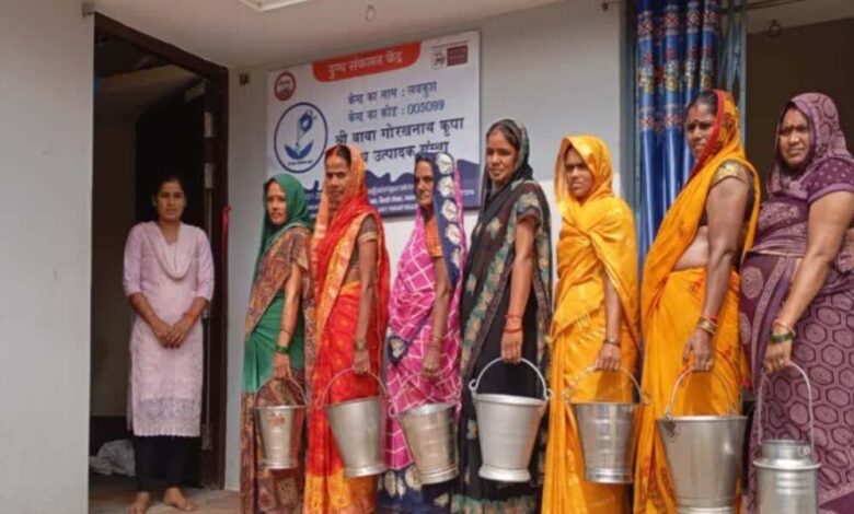 मिल्क प्रोक्योरमेंट से आत्मनिर्भर बनीं प्रदेश की साढ़े तीन लाख महिलाएं 1 21A 200