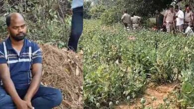 रायगढ़ में अफीम की अवैध खेती का भंडाफोड़, झारखंड का आरोपी पुलिस हिरासत में 1 3 299