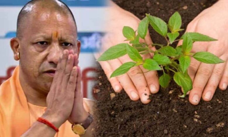 सर्वोत्तम के साथ यूपी को ‘हरित प्रदेश’ बनाने में जुटी योगी सरकार 1 3A 144