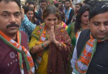 Bjp 01 1