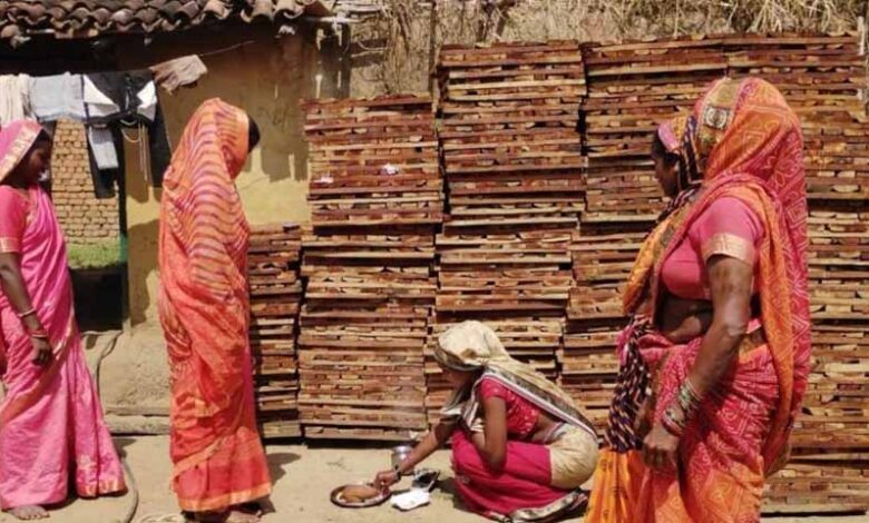 Chhattisgarh News 07 1 2