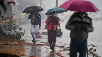 धूप की तपिश से राहत: आज हल्की बारिश और बिजली गिरने की संभावना 3 Chhattisgarh News 07 2 4